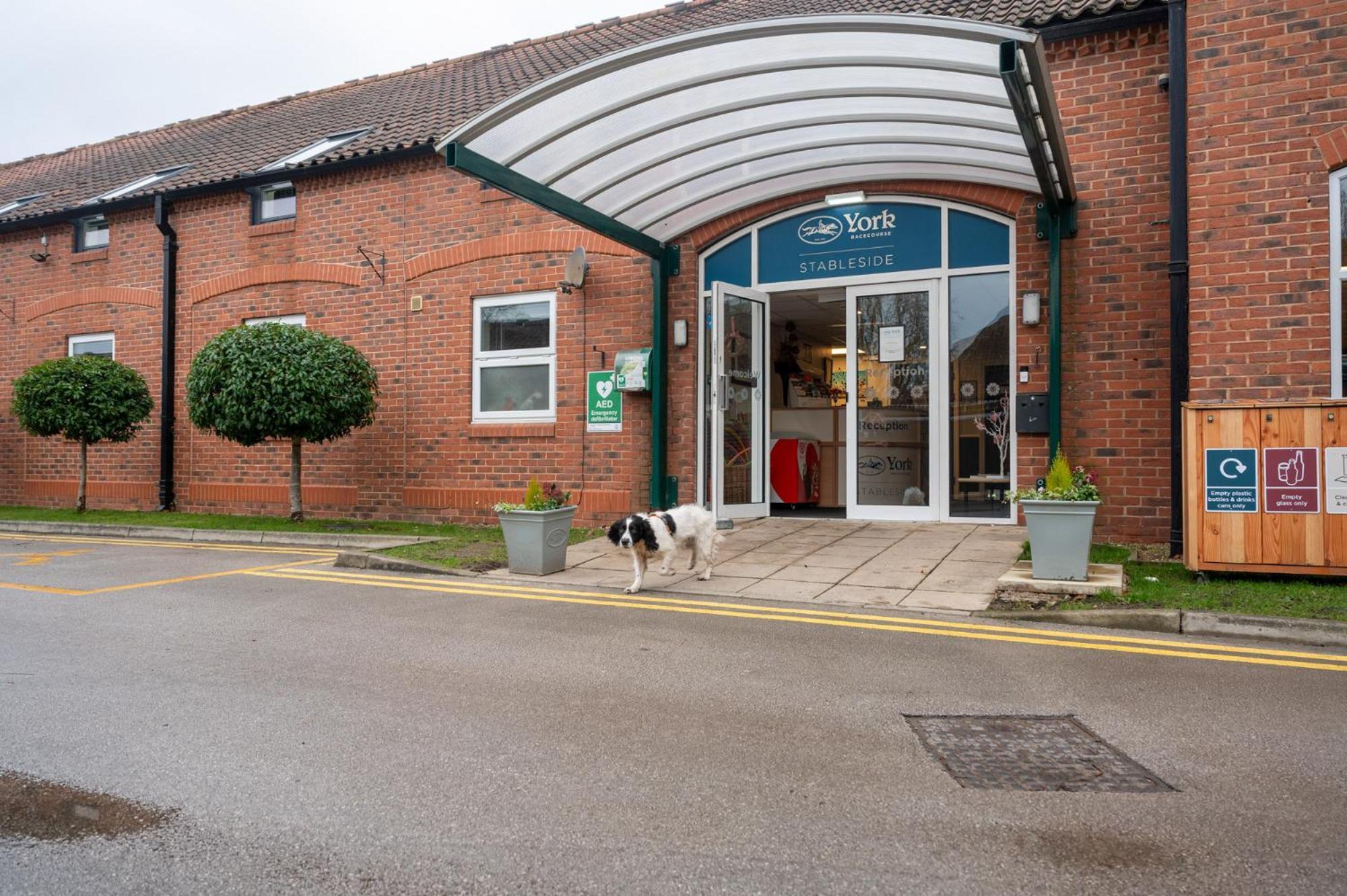 Stableside At York Racecourse Hotel Buitenkant foto
